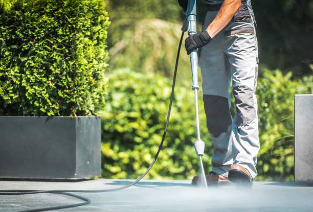 Best Soft Washing  in Rosedale, LA